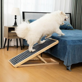 Adjustable Pet Ramp