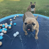 Pet Play Pool