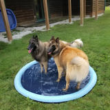 Pet Play Pool