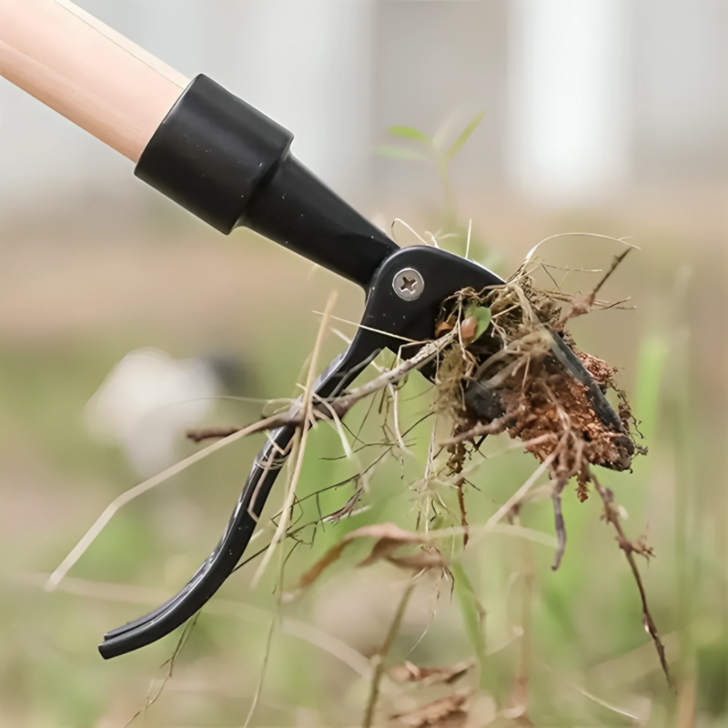 Standing Weed Puller